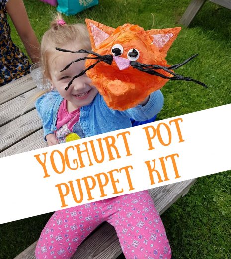 Yoghurt Pot Puppet Kit