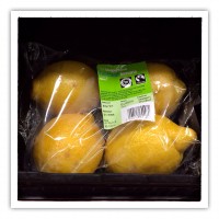 Lemons_Coop