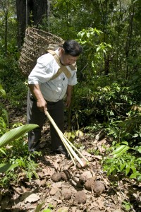 Juan Roca going to the forest to collect the Brazil nuts in Londres, Pando Region, Bolivia. Photo: Eduardo Martino